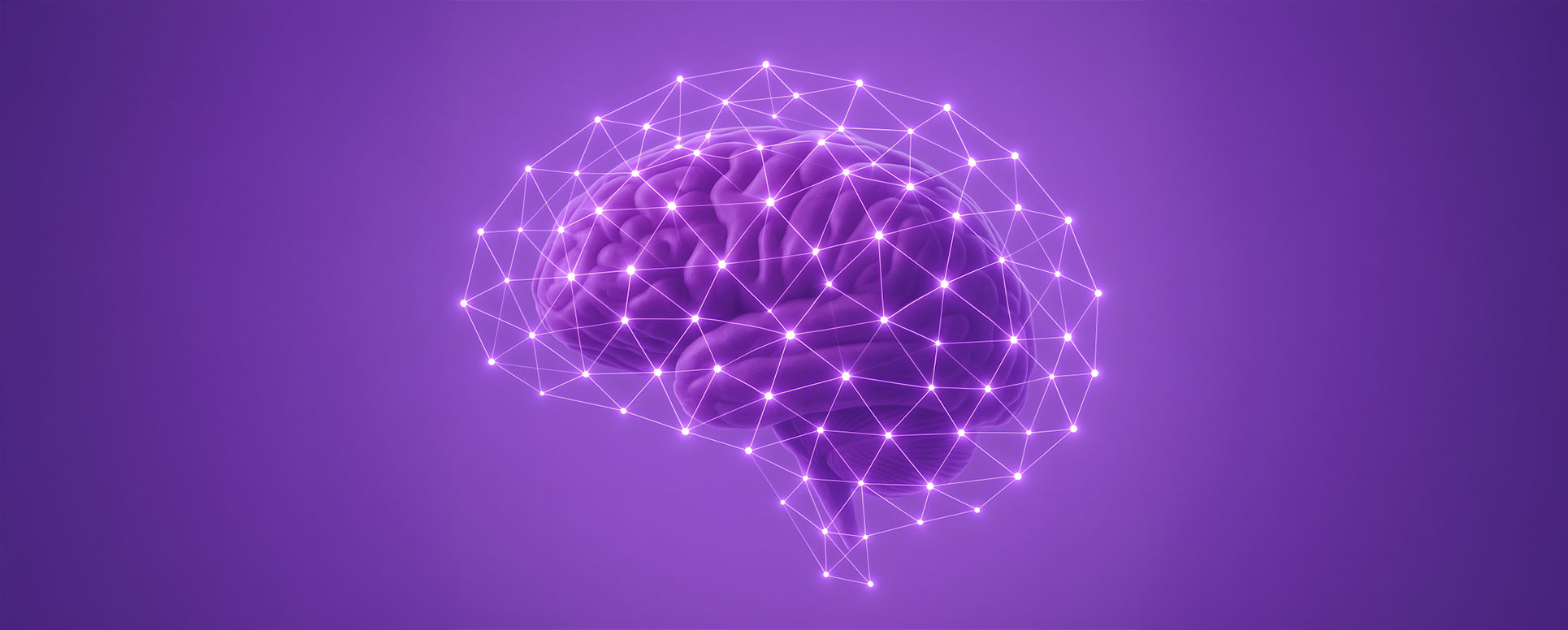 Nöroplastisite ve Zeka Oyunları Nöroplastisite ve Zeka Oyunları